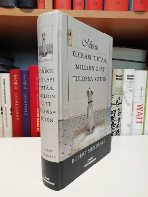 Miksi koirasi tietää milloin olet tulossa kotiin - Sheldrake