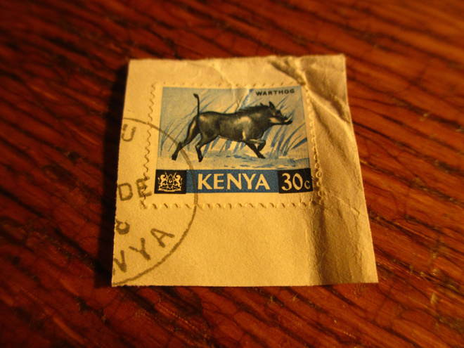 kenia pm leike villisika