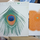 LP XTC : Apple Venus ( SIS POSTIKULU ) - pikkukuva 4