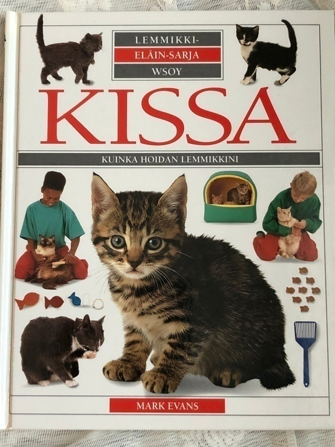 Mark Evans: KISSA, Kuinka hoidan lemmikkini