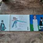 Julie Doiron: I Can Wonder What You Did With Your Day CD - pikkukuva 4