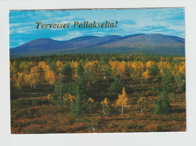 Postikortti, LAPPI, PALLASTUNTURIT RUSKA-AIKAAN, Erikoisleim