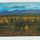 Postikortti, LAPPI, PALLASTUNTURIT RUSKA-AIKAAN, Erikoisleim - pikkukuva 1
