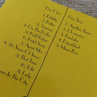 Regina spektor - begin to hope CD x 2 - pikkukuva 2