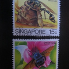Singapore 1985: hyönteisiä - pikkukuva 1