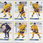 2019-20 Cardset Series 2 Lukko Team Set 12 korttia (97-108) - pikkukuva 1