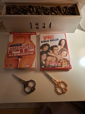 American Pie 1-9 (9-Dvd)