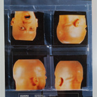 Bruce Nauman - pikkukuva 2
