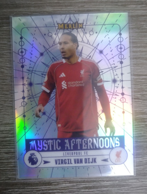 Virgil Van Dijk Mystic Afternoons