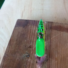 Rapala Rattlin Finland 5cm - pikkukuva 3
