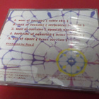 BRUCE DICKINSON - MAN OF SORROWS JAPANI PAINOS CDS - pikkukuva 2
