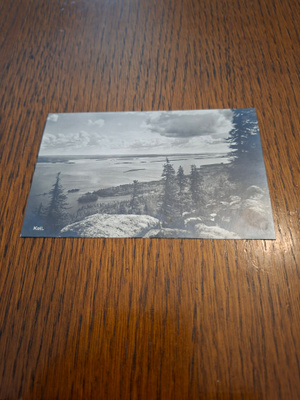 12 Koli