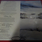 PETER GREEN - WHITE SKY M-/EX LP - pikkukuva 2