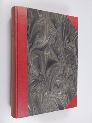Irving Stone : Michelangelo : elämäkertaromaani