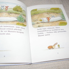 Erwin Moser Manne ja Vili Puunrunkotalo - pikkukuva 2