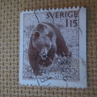Ruotsi 1978: karhu - pikkukuva 1