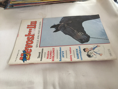 HEVOSHULLU 25/1982 HYVÄ
