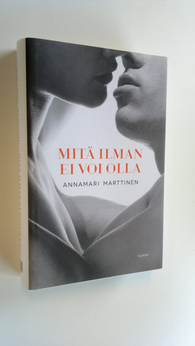 Annamari Marttinen : Mitä ilman ei voi olla