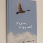 Satu Hautamäki : Pieni kyynel - pikkukuva 1