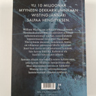 Jörn Lier Horst : Lumen peittämä - pikkukuva 2