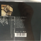 DON JOHNSON BIG BAND - BREAKING DAYLIGHT. CD. - pikkukuva 2