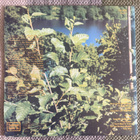 ALBERT COLLINS: There's Gotta Be A Change (LP) 1972 - pikkukuva 2