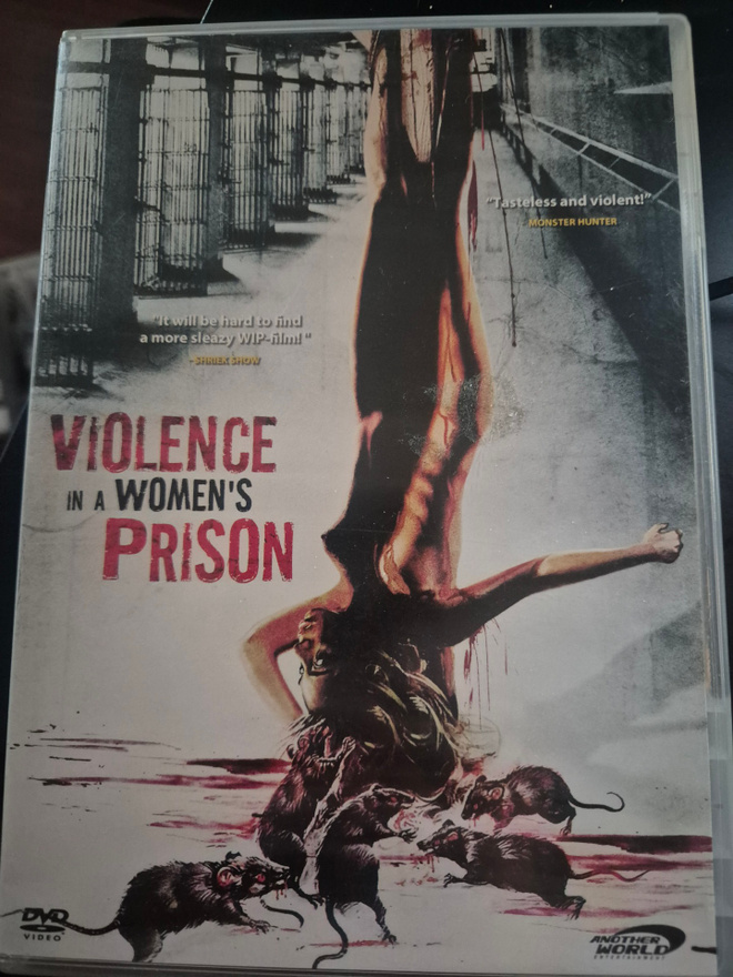 Violence in a women's prison