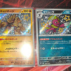 Pokémon Shiny Treasure ex - pikkukuva 1