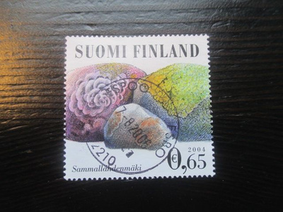 Sammallahdenmäki (lape 1713) 2004