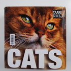 Cats - pikkukuva 2
