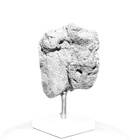 "Face from Another World" – Rare Meteorite Artifact ”Skull” - pikkukuva 3