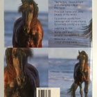 Encyclopedia of the horse - pikkukuva 2