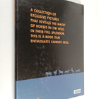 Paolo Manili : Wild Horses - pikkukuva 2