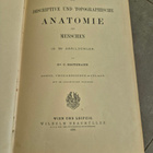 Anatomie (kuv. 1896) - pikkukuva 3