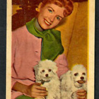 Keräilykuva - Debbie Reynolds B 130 - pikkukuva 1