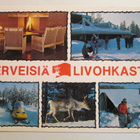 KULKEMATON LOMAKESKUS LIVOHKA AHOSENLAHTI POSIO LAPPI - pikkukuva 1