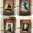 Merja Jalo -Nummelan ponitalli -kirjoja [alk. 5,00€] - pikkukuva 3