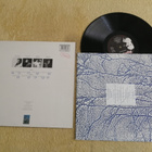 THE BOLSHOI - Friends LP - pikkukuva 2