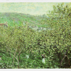 kortti ** Monet Claude Luonnossa - erilaisia - pikkukuva 2