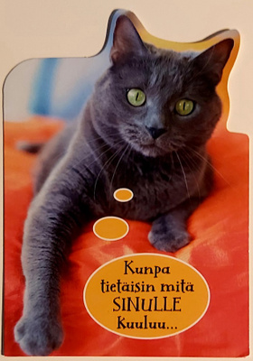 Kunpa tietäisin,mitä SINULLE kuuluu-KULKEMATON POSTIKORTTI