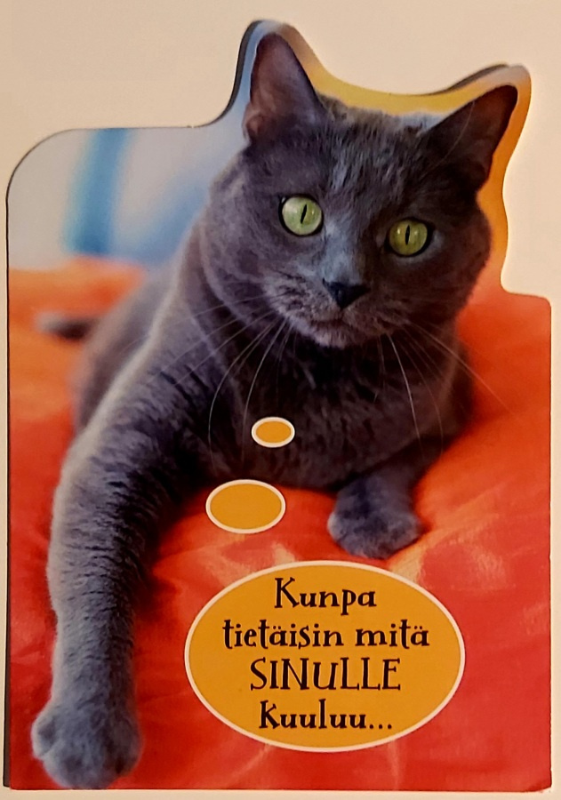 Kunpa tietäisin,mitä SINULLE kuuluu-KULKEMATON POSTIKORTTI