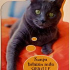 Kunpa tietäisin,mitä SINULLE kuuluu-KULKEMATON POSTIKORTTI - pikkukuva 1