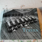 beverly cole trains - pikkukuva 1