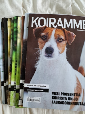 Koiramme vuosikerta 2020