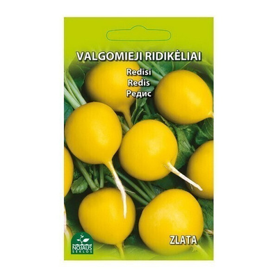 Retiisi "Zlata" - siemenet #