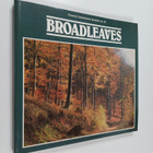 Herbert L. Edlin : Broadleaves - pikkukuva 1