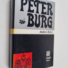 Andrej Belyj : Peterburg - pikkukuva 1