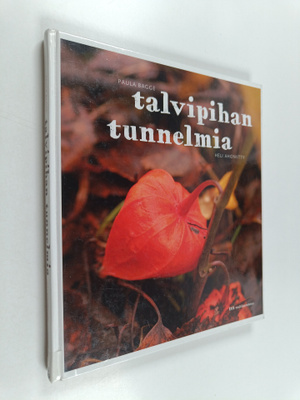 Paula Bagge : Talvipihan tunnelmia