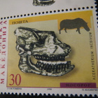Makedonia 1998: fossiilit - pikkukuva 5