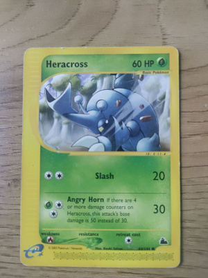 Heracross